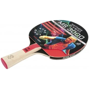 MS3000 Table Tennis Bat Pack Of 10