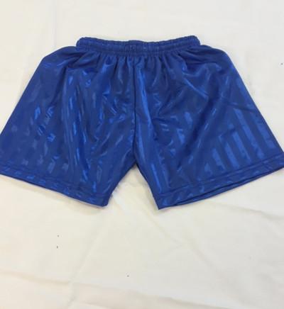 Royal Blue PE Shorts (SP)