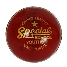 Readers Special School Youth (4 ¾) Cricket Ball (Box Of 6)