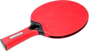 Matthew Syed Outdoor Table Tennis Bat